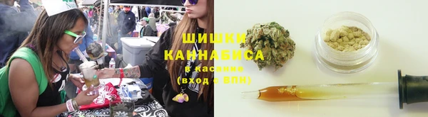 индика Балахна