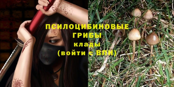 трава Беломорск