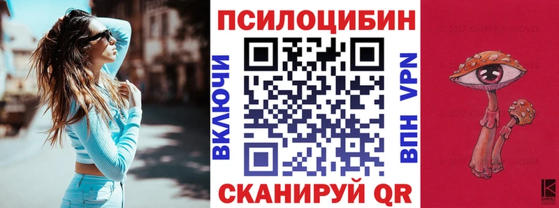 Галлюциногенные грибы Psilocybine cubensis Ясногорск